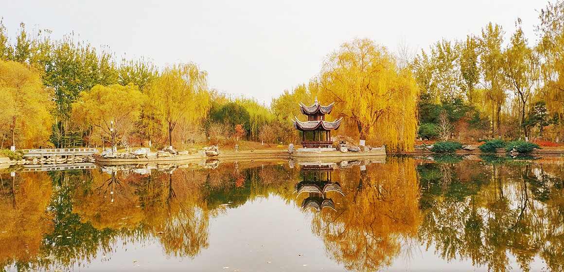 秋景